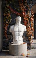 Torso Mann Skulptur