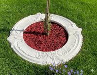 Baumring Strauch Einfassung