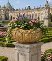 Blumen Beton Pflanzschale Sandstein farbig