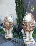 Löwe mit brauner Mähne